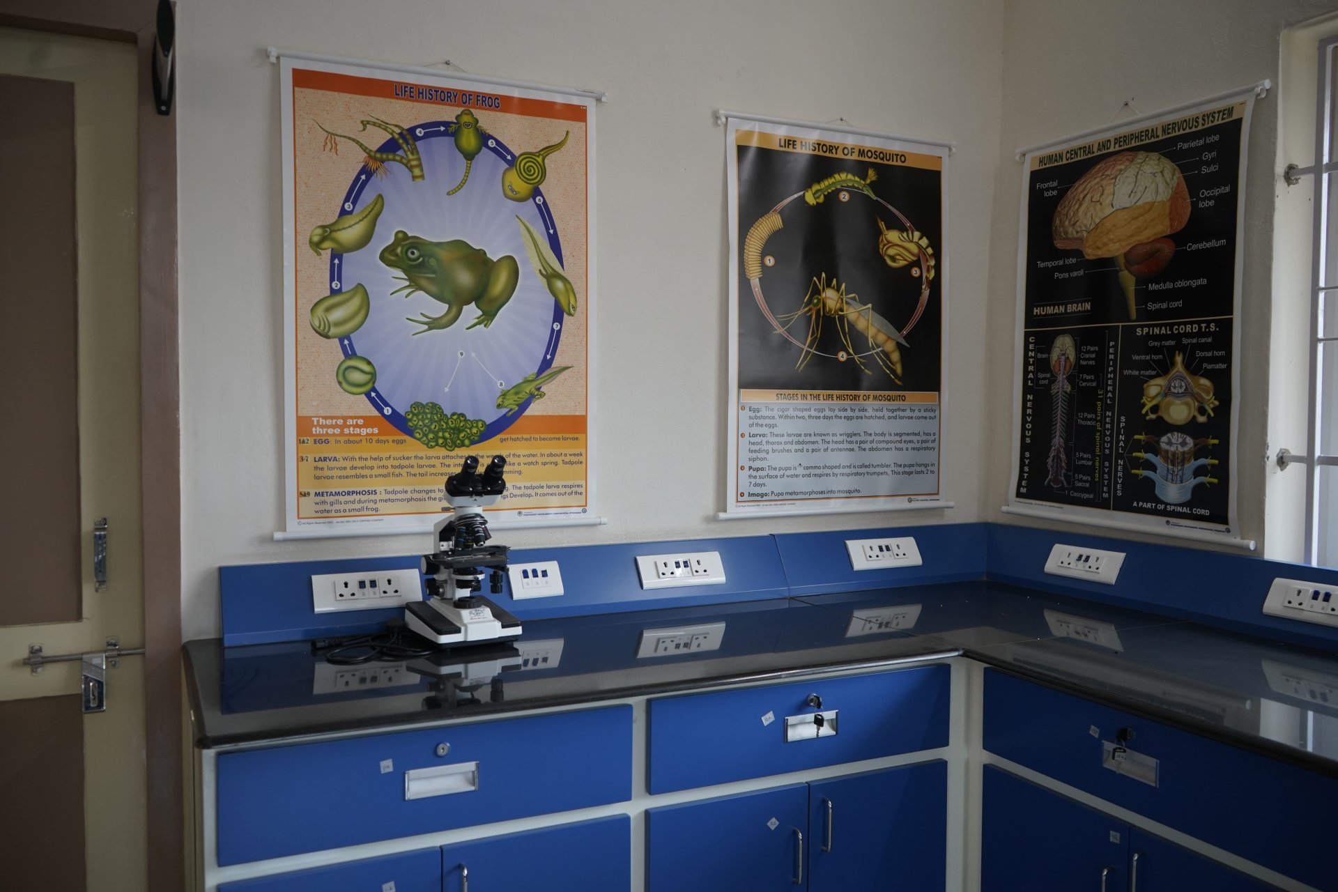 School Infrastructure